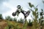Motocykl-Razor-SX350-McGrath-lifestyle-foto4