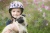 Pug puppies helmet - mid shot - without bike - Mini Hornit LIDS.jpg
