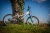 rowerek dziecięcy dziewczęcy Schwinn Shade White 20" zdjęcie lifestyle