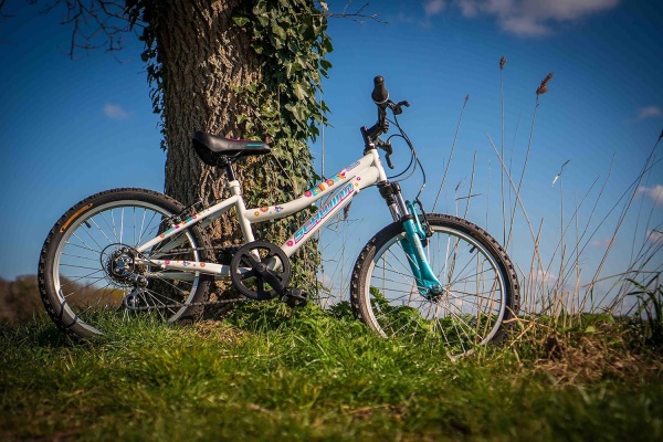 rowerek dziecięcy dziewczęcy Schwinn Shade White 20" zdjęcie lifestyle