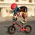 Rowerek biegowy dla dzieci od 2 do 5 lat Micro Balance Bike Deluxe Red