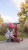pol_pl_SCOOTANDRIDE-Highwaykick-1-Lifestyle-2w1-Jezdzik-i-hulajnoga-z-zamykanym-schowkiem-1-5-lat-Wildcat-12713_26.jpg