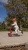 pol_pl_SCOOTANDRIDE-Highwaykick-1-Lifestyle-2w1-Jezdzik-i-hulajnoga-z-zamykanym-schowkiem-1-5-lat-Wildcat-12713_30.jpg