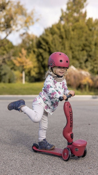pol_pl_SCOOTANDRIDE-Highwaykick-1-Lifestyle-2w1-Jezdzik-i-hulajnoga-z-zamykanym-schowkiem-1-5-lat-Wildcat-12713_32.jpg